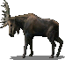 File:1084 2.png