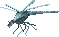 Thumbnail for version as of 19:21, 17 May 2026