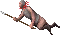 Thumbnail for version as of 19:17, 17 May 2026