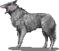 File:1229 2.png