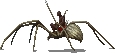 File:0885 1.png