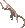 Thumbnail for version as of 19:16, 17 May 2026