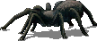 Thumbnail for version as of 19:15, 17 May 2026